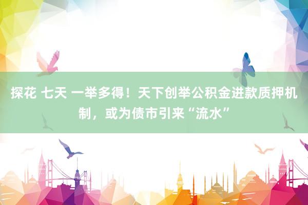 探花 七天 一举多得！天下创举公积金进款质押机制，或为债市引来“流水”