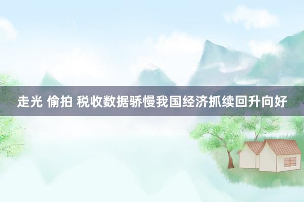 走光 偷拍 税收数据骄慢我国经济抓续回升向好