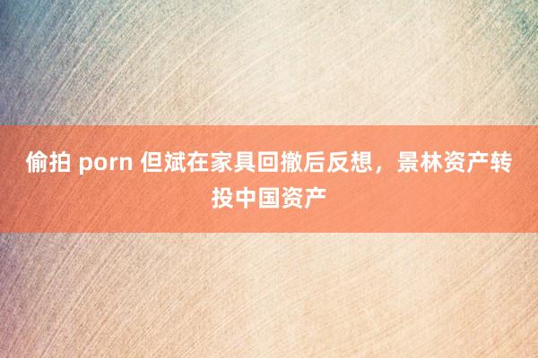 偷拍 porn 但斌在家具回撤后反想，景林资产转投中国资产