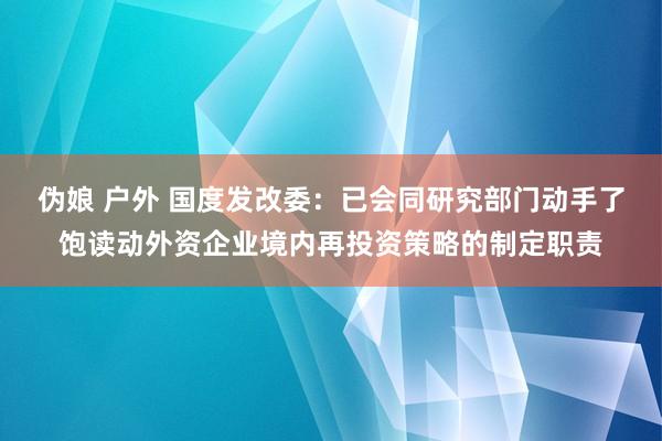 伪娘 户外 国度发改委：已会同研究部门动手了饱读动外资企业境内再投资策略的制定职责